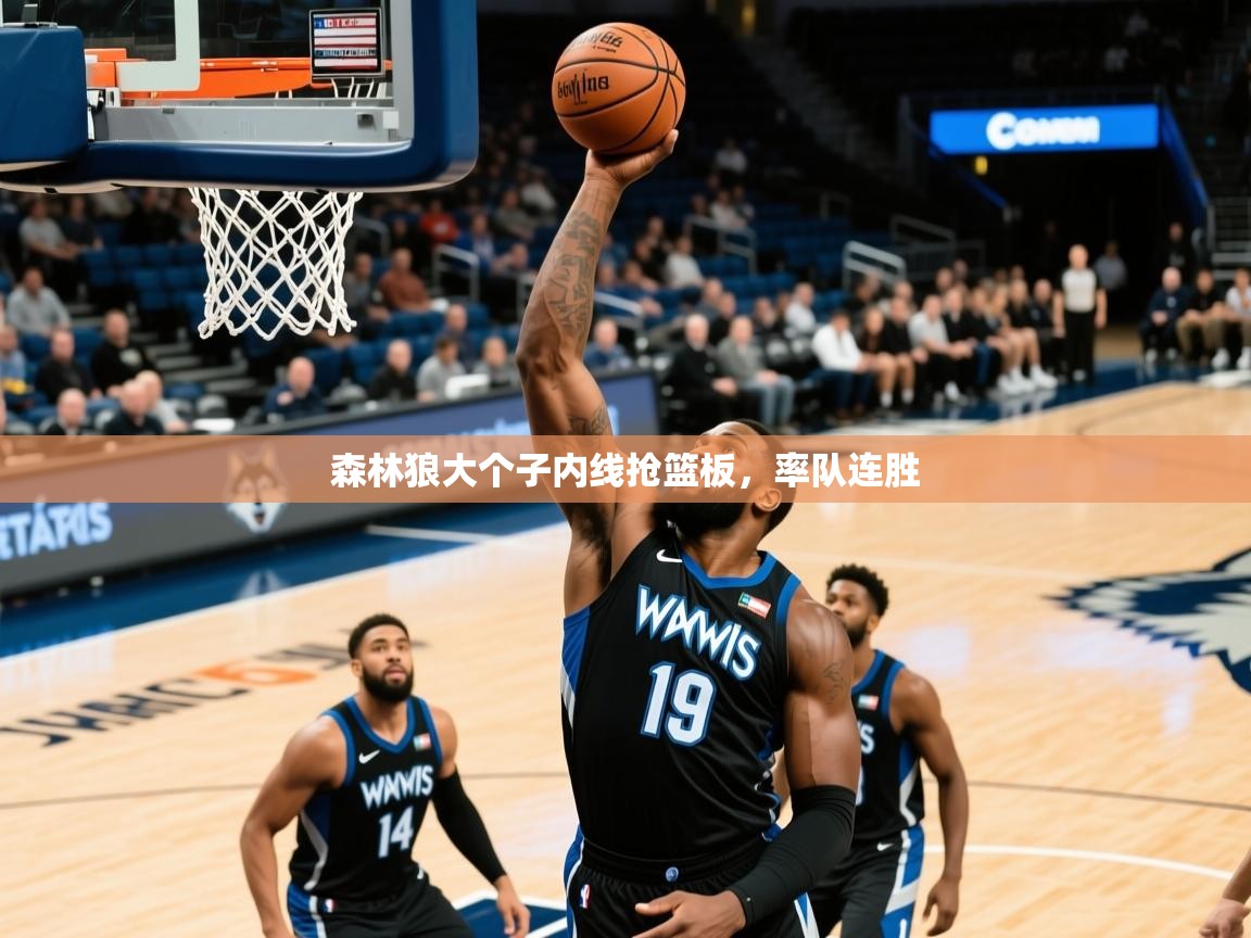 2025华体会体育网站国米赞助商森林狼大个子内线抢篮板,率队连胜  第1张