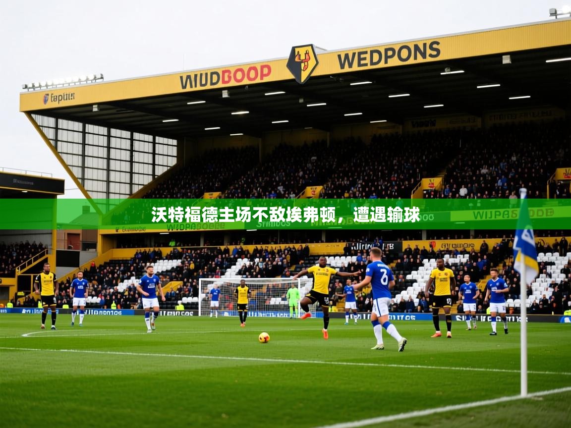 2026华体会体育平台靠谱吗沃特福德主场不敌埃弗顿,遭遇输球 第1张