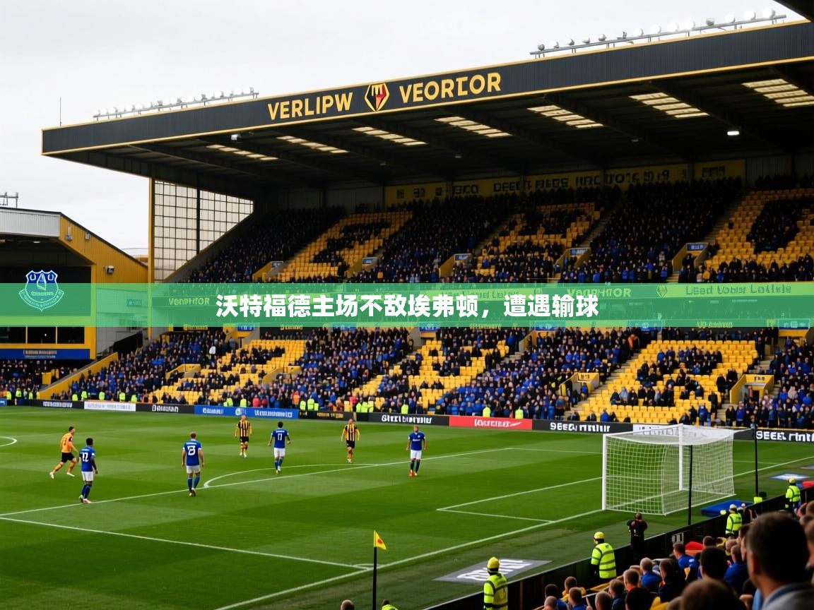 2026华体会体育平台靠谱吗沃特福德主场不敌埃弗顿,遭遇输球 第2张