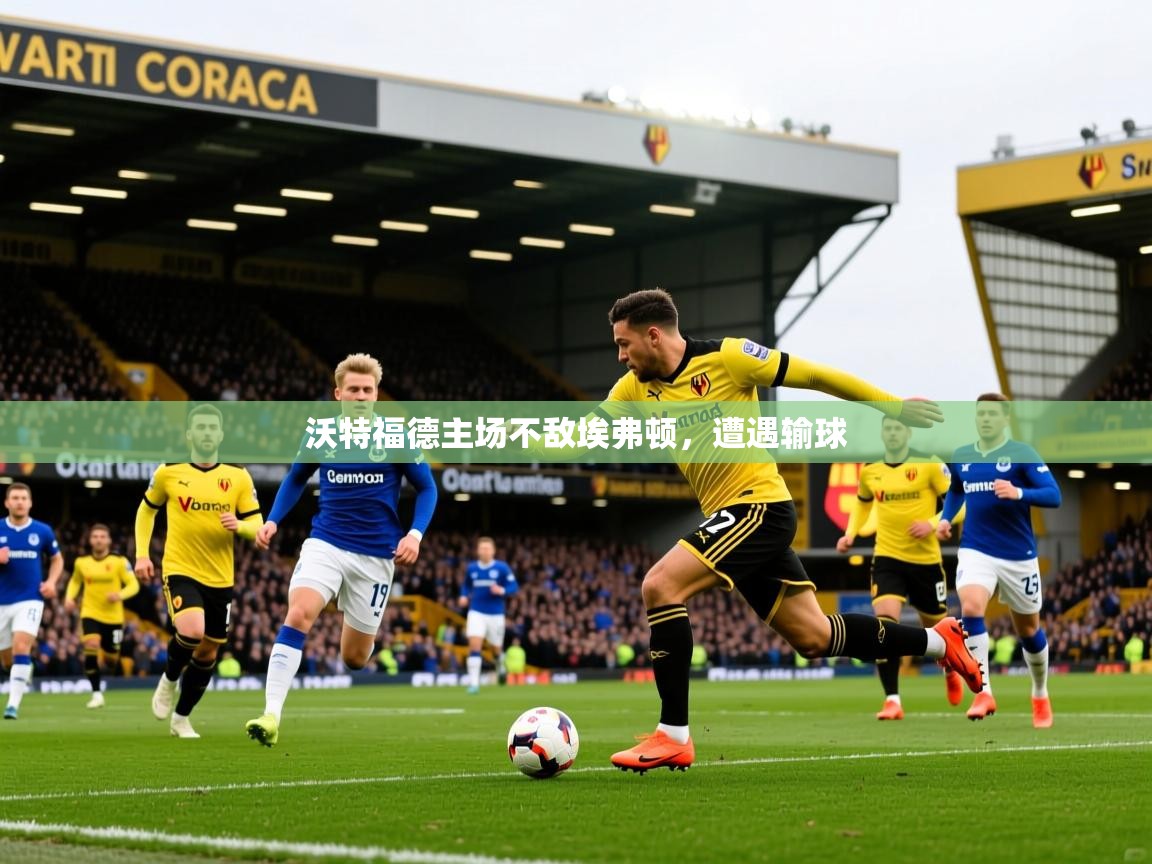 2026华体会体育平台靠谱吗沃特福德主场不敌埃弗顿,遭遇输球 第4张