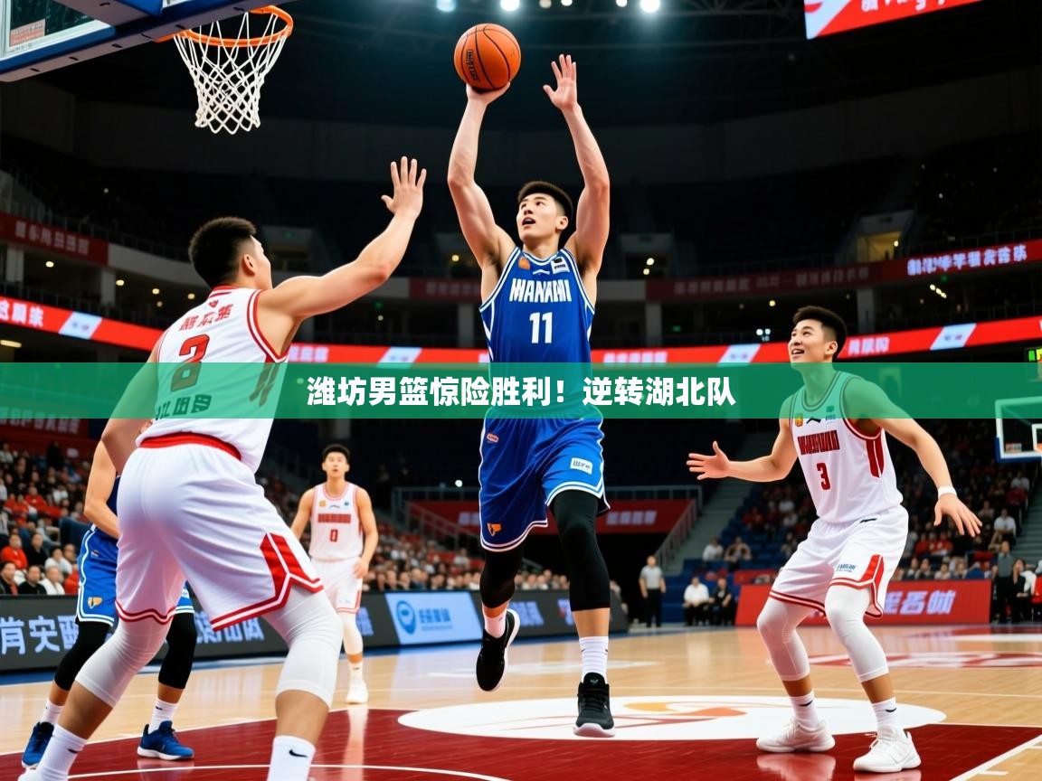 2026华体会体育平台靠谱吗潍坊男篮惊险胜利！逆转湖北队  第1张