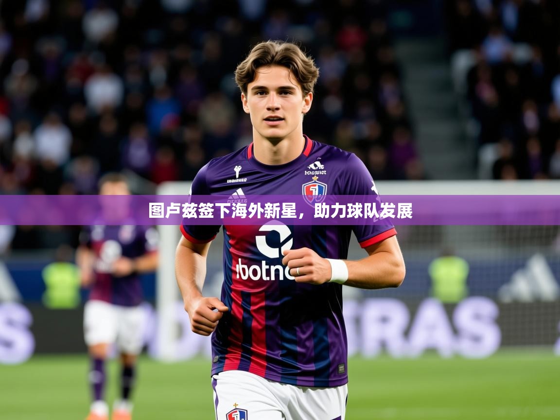 2026华体会登录入口图卢兹签下海外新星，助力球队发展  第3张